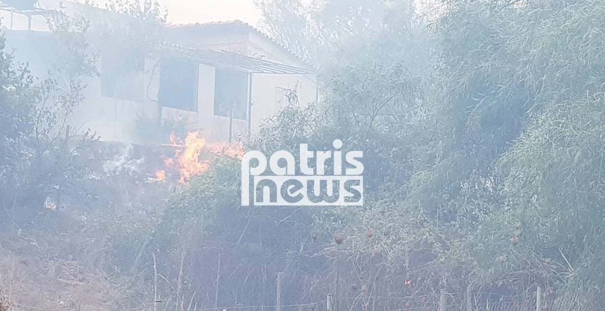Πύργος – Φωτιά στη Σπιάτζα: Κάηκαν παραπήγματα! Δόθηκε εντολή εκκένωσης (εικόνες, βίντεο)